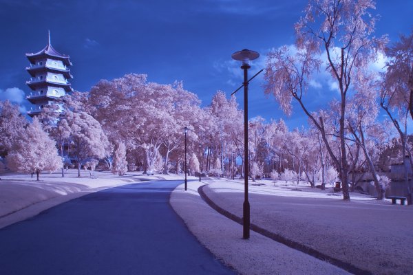 Зима в Японии Токио