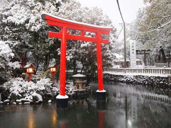 Токио тории