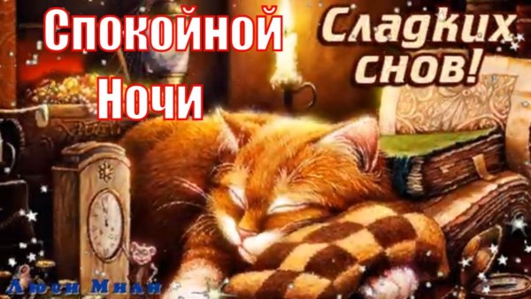 Спокойной ночи сладких снов