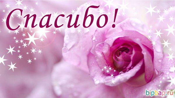 Спасибо картинки