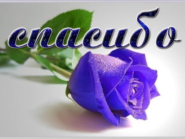 Супер красиво открытки