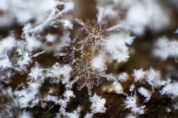 Блеск снега