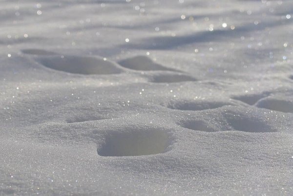 Искрящийся снег