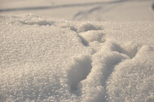 Чистый снег