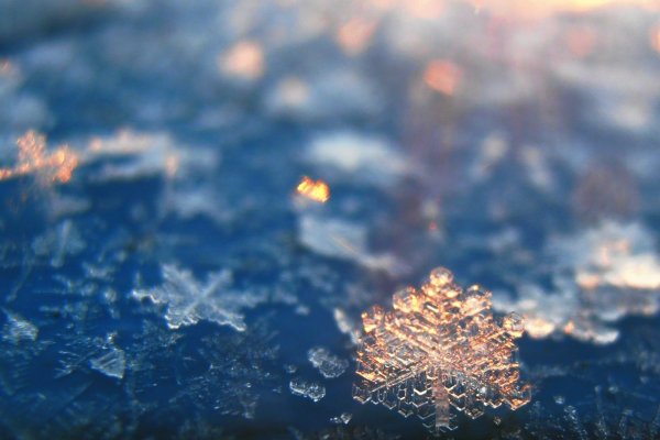 Снег искрится на солнце