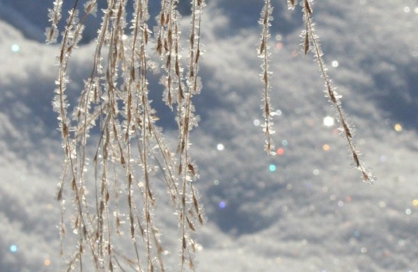 Искрящийся снег