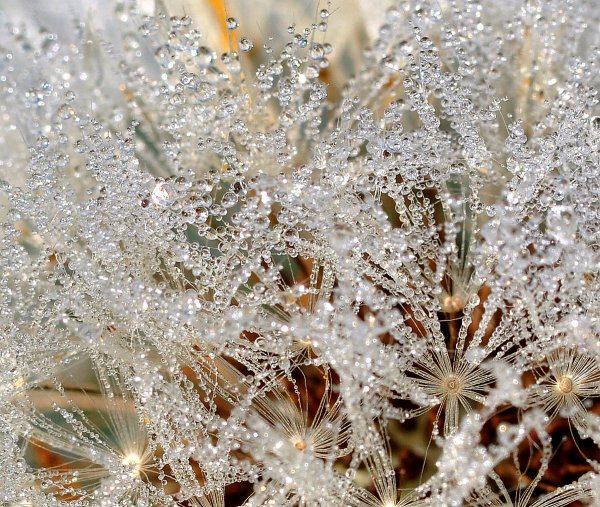 Снег блестит