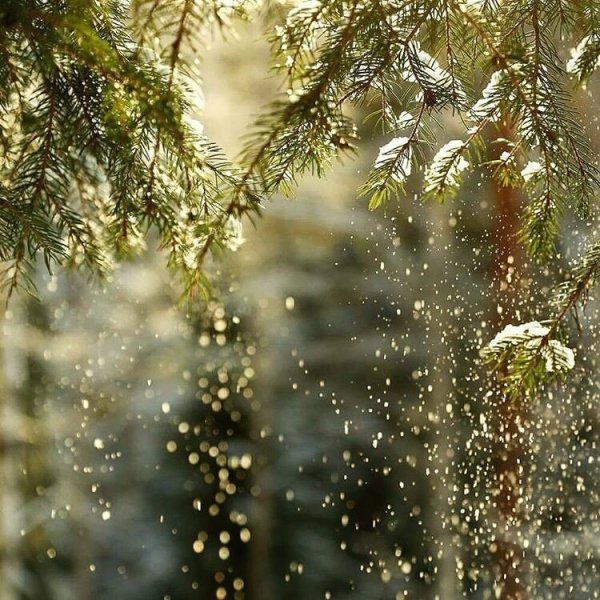 Снег блестит