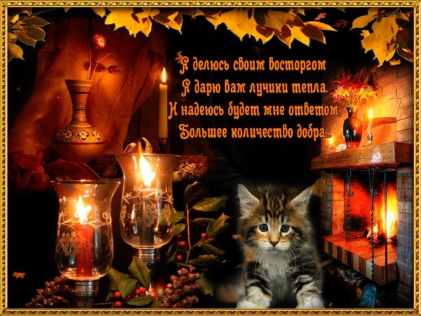 Доброго уютного вечера