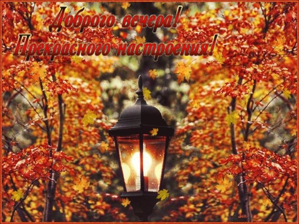 Чудесного осеннего вечера