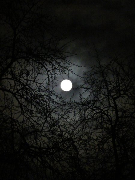 Мрачная Луна