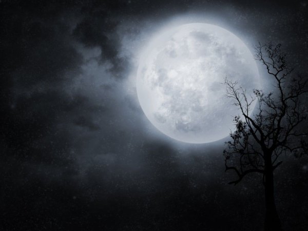 Зловещее полнолуние