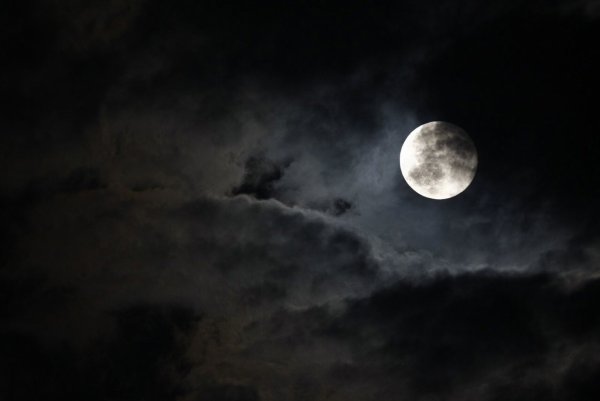 Страшное полнолуние