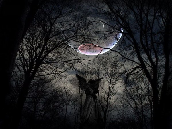 Зловещая ночь