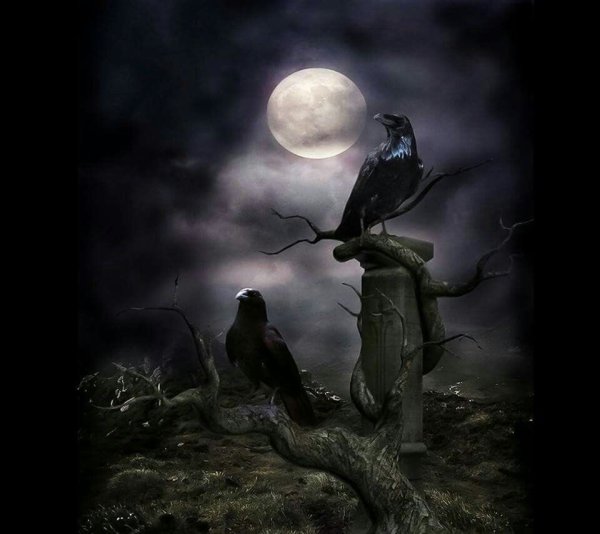 Мистический ворон