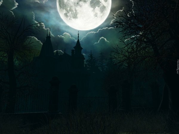 Ночь Луна мистика
