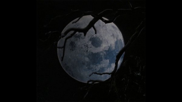 Гифы Луна страшная