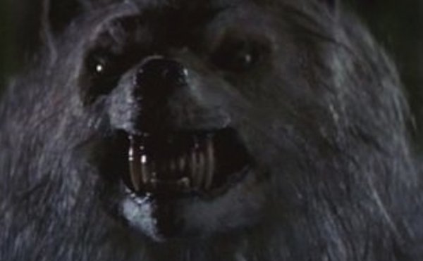 Зловещая Луна фильм оборотни