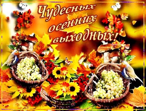 Осенние выходные