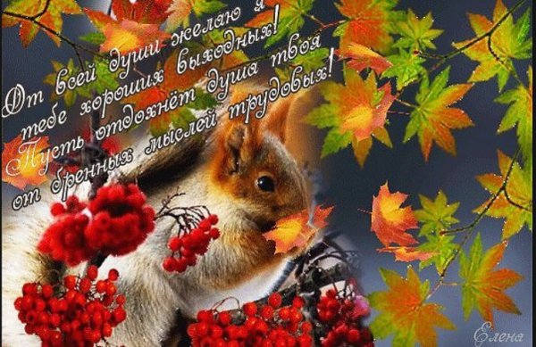 Осенних выходных пожелания
