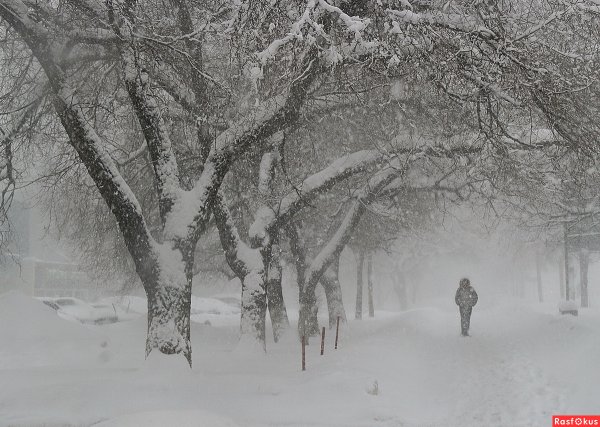 Февральский снегопад