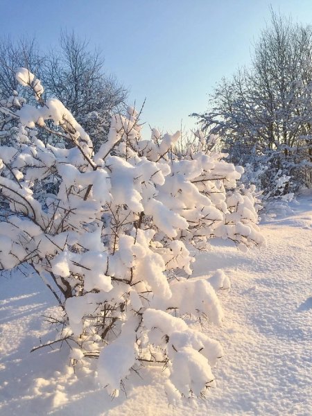 Февральский снег