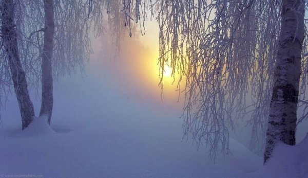 Тишина зима