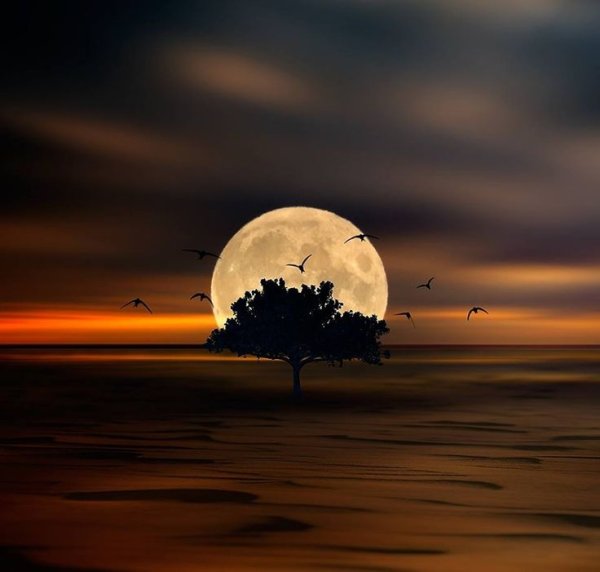 Восход Луны