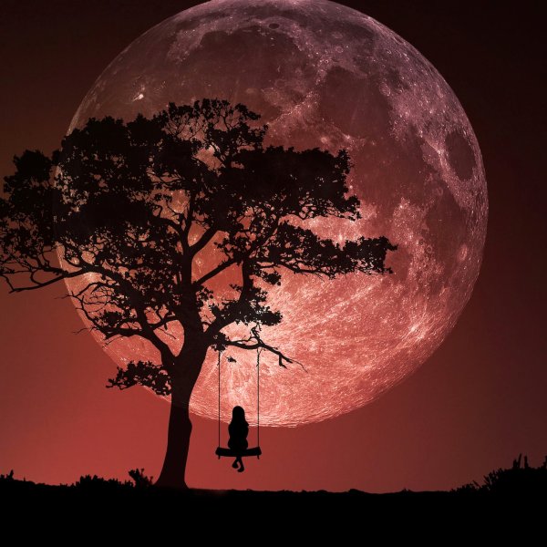 Полнолуние необычная