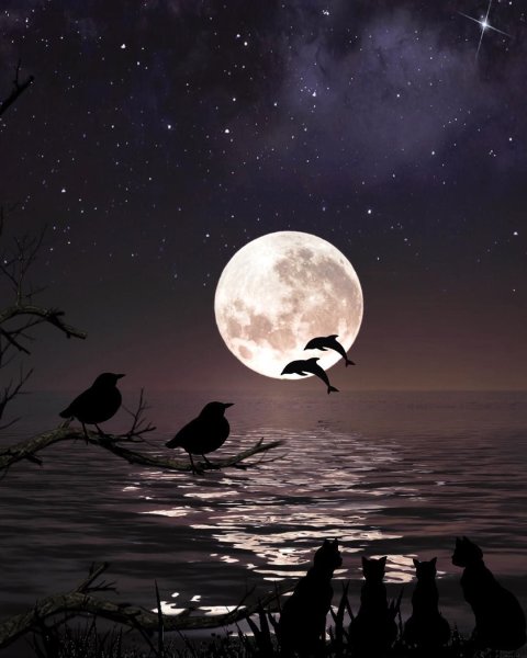 Красивая Луна