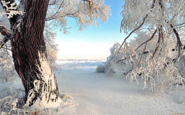 Февральская зима