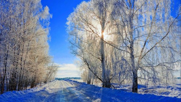 Солнечный зимний день