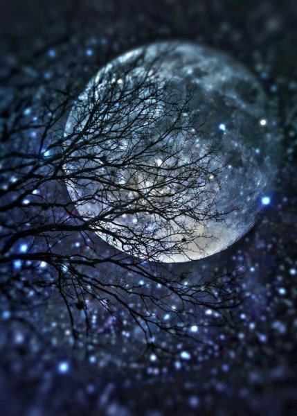 Полнолуние зима