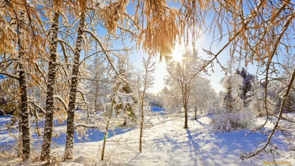 Зимний день