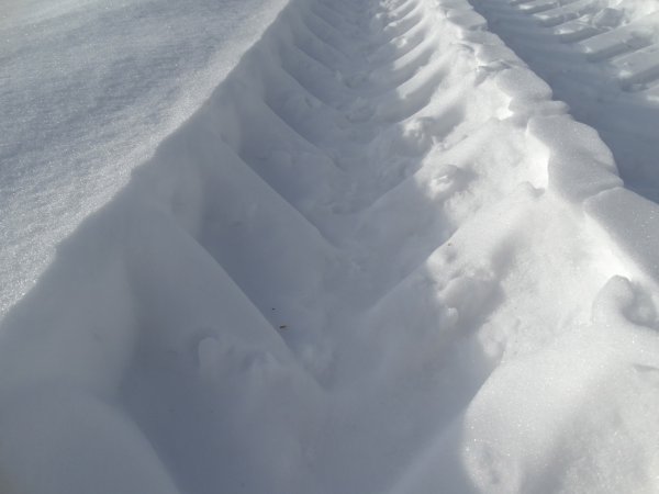 Разновидности снега