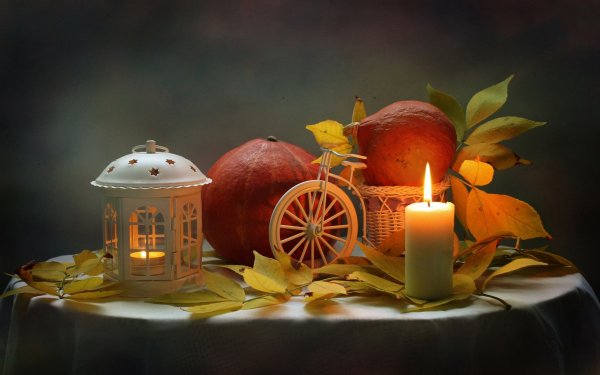 Уютные осенние натюрморты