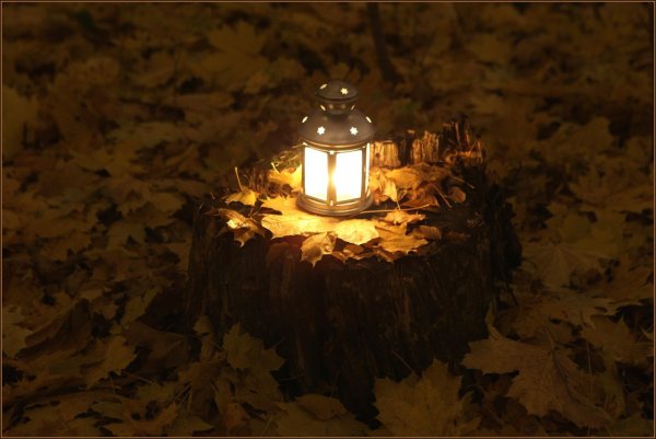 Осенний вечер