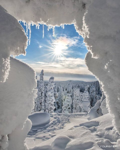 Зимний пейзаж из окна