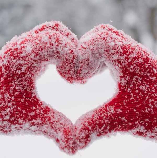 Сердце на снегу