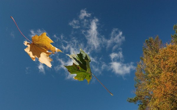 Осенний воздух