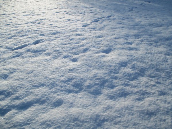 Снег искрится на солнце