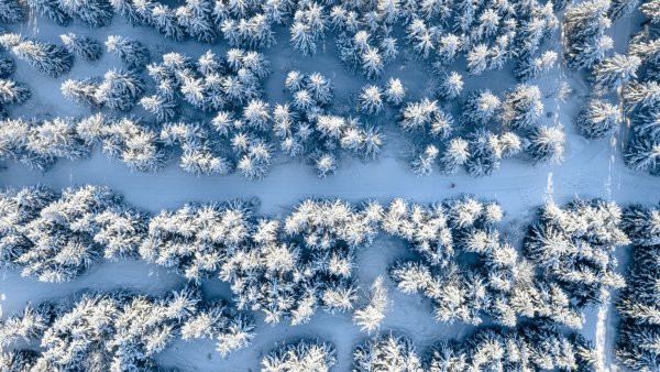 Снег вид сверху
