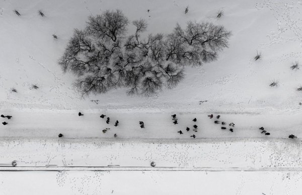 Снег вид сверху