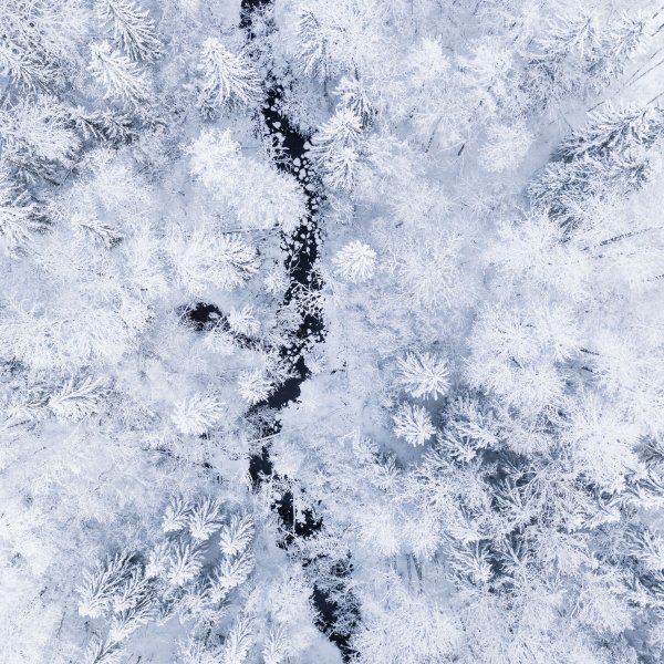 Снег снежинки вид сверху