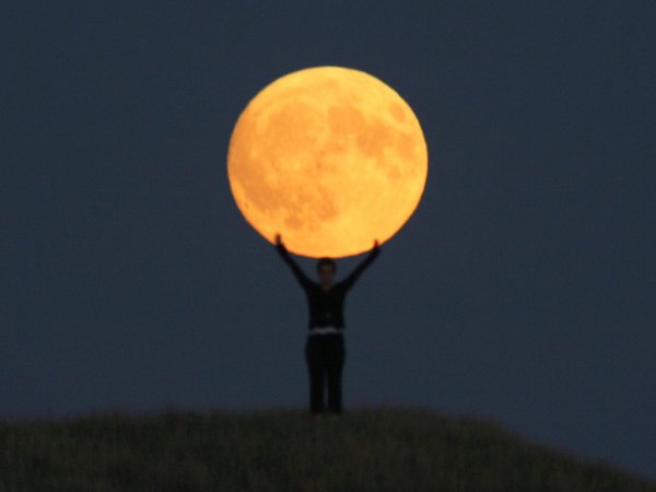 Moon games Laurent Laveder