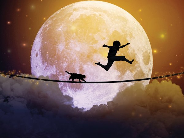 Картина человек на фоне Луны