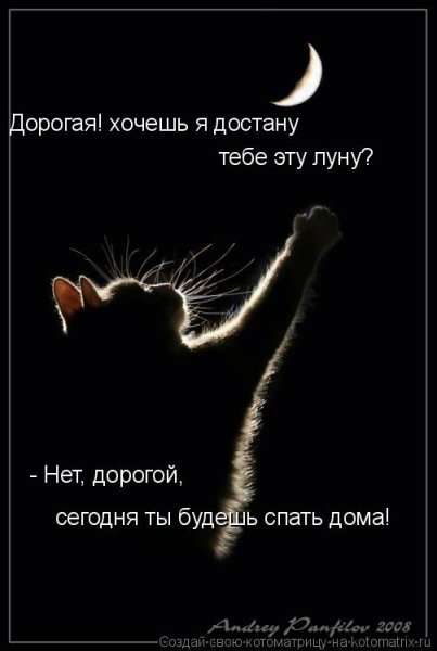 Я достану тебе луну с неба