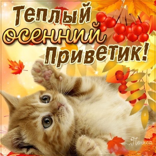Осенний приветик