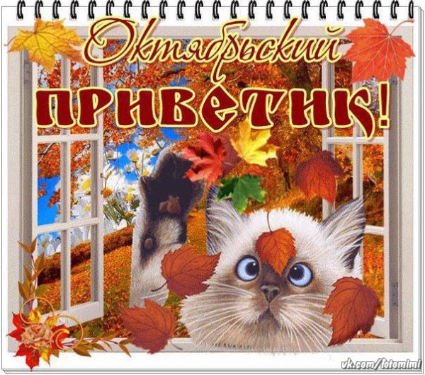Октябрьский осенний приветик