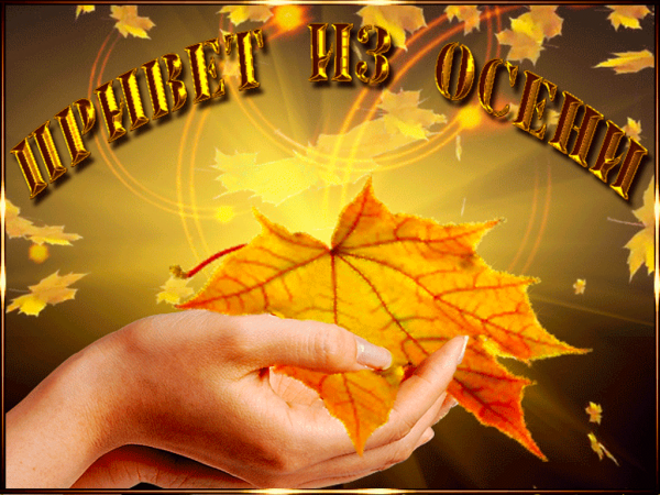 Осенний привет